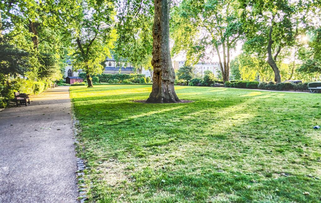 Pimlico's Green Spaces